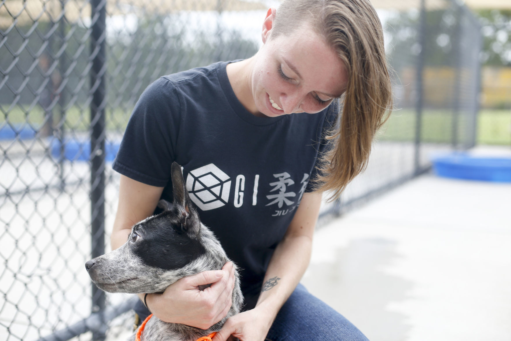 Clear the Shelter